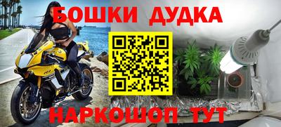 ПСИЛОЦИБИНОВЫЕ ГРИБЫ Дубна